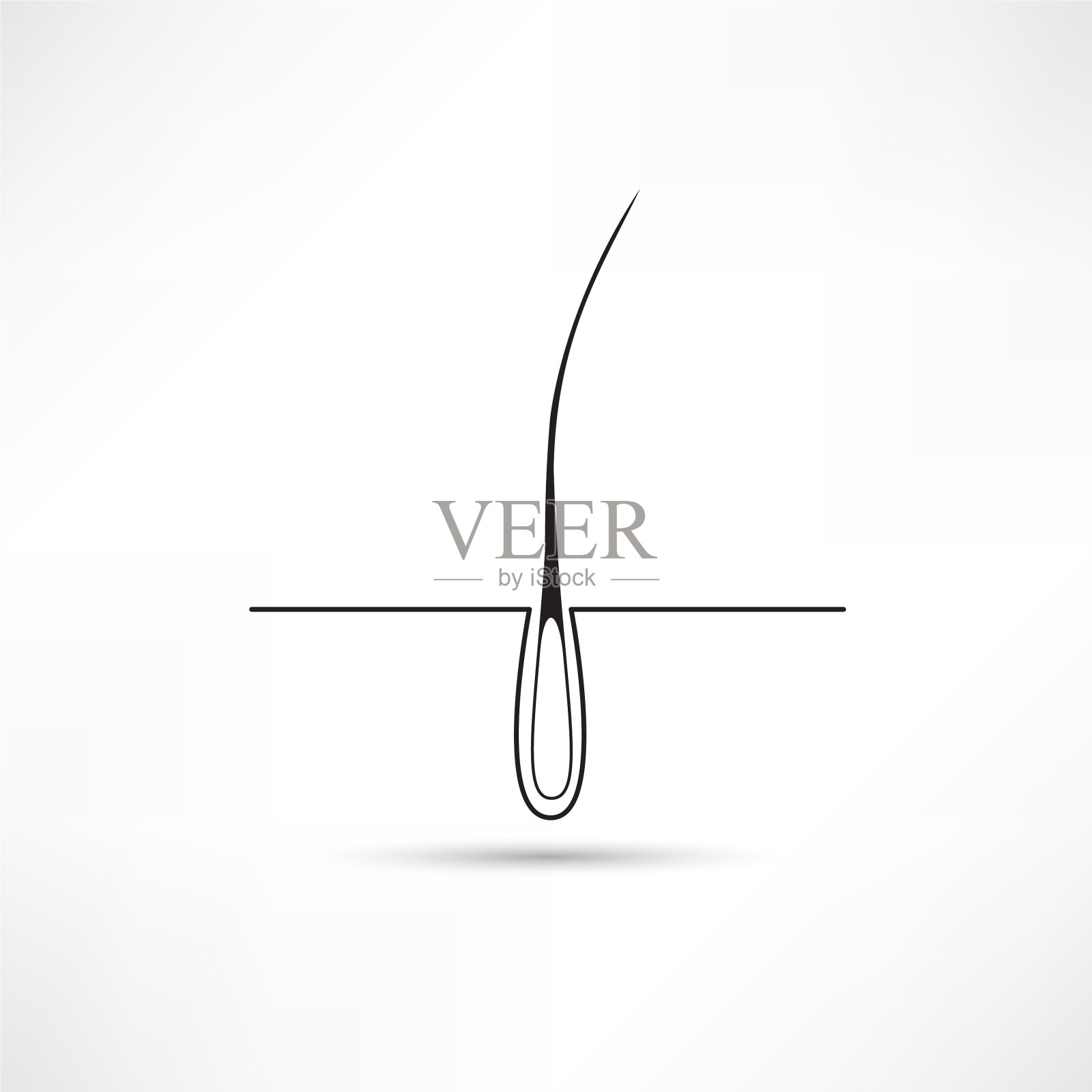 毛囊治疗设计插画图片素材