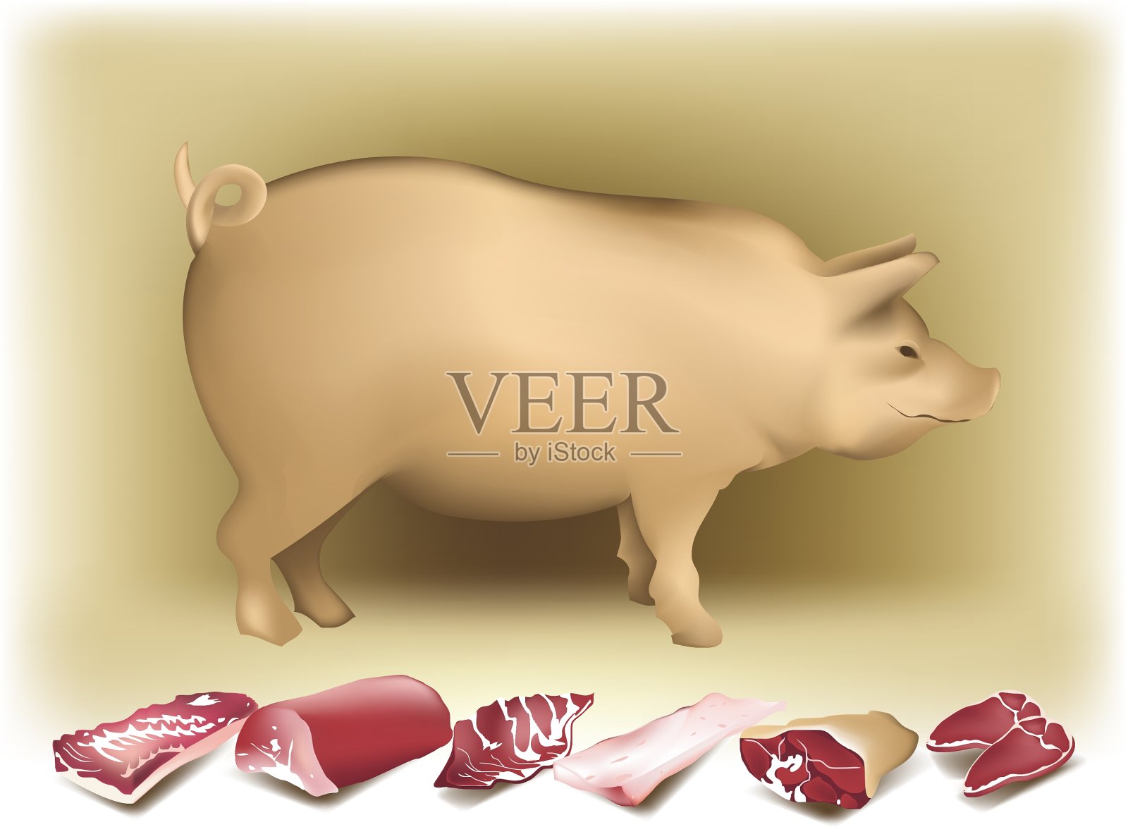 猪和猪肉插画图片素材