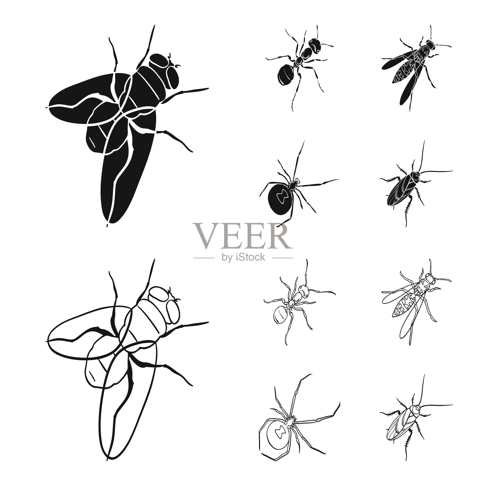 节肢动物，蜘蛛，蟑螂插画图片素材