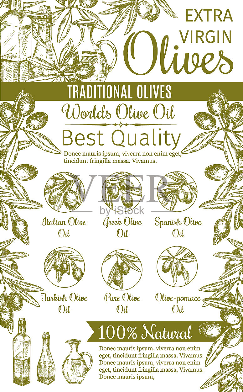 橄榄绿水果和树枝的油菜旗插画图片素材