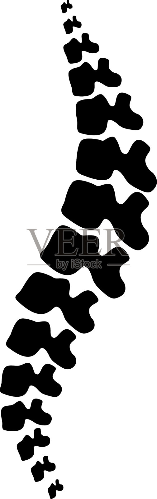 脊柱孤立的轮廓设计元素图片