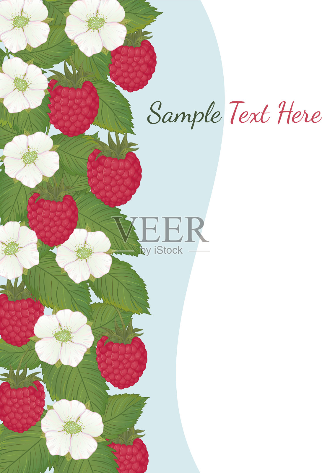 覆盆子collect-03插画图片素材