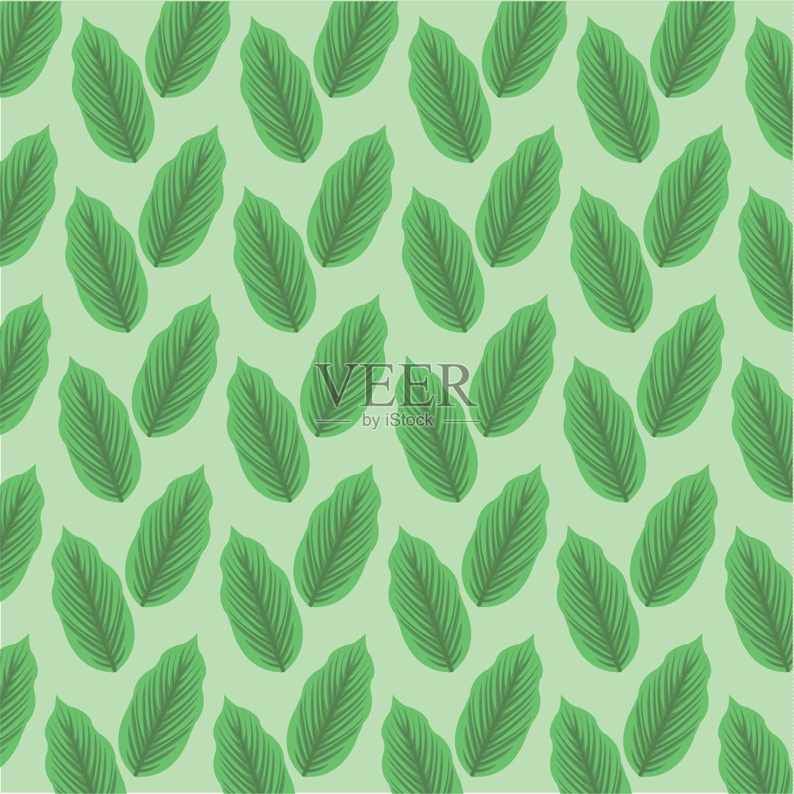 颜色背景图案绿色披针形叶插画图片素材