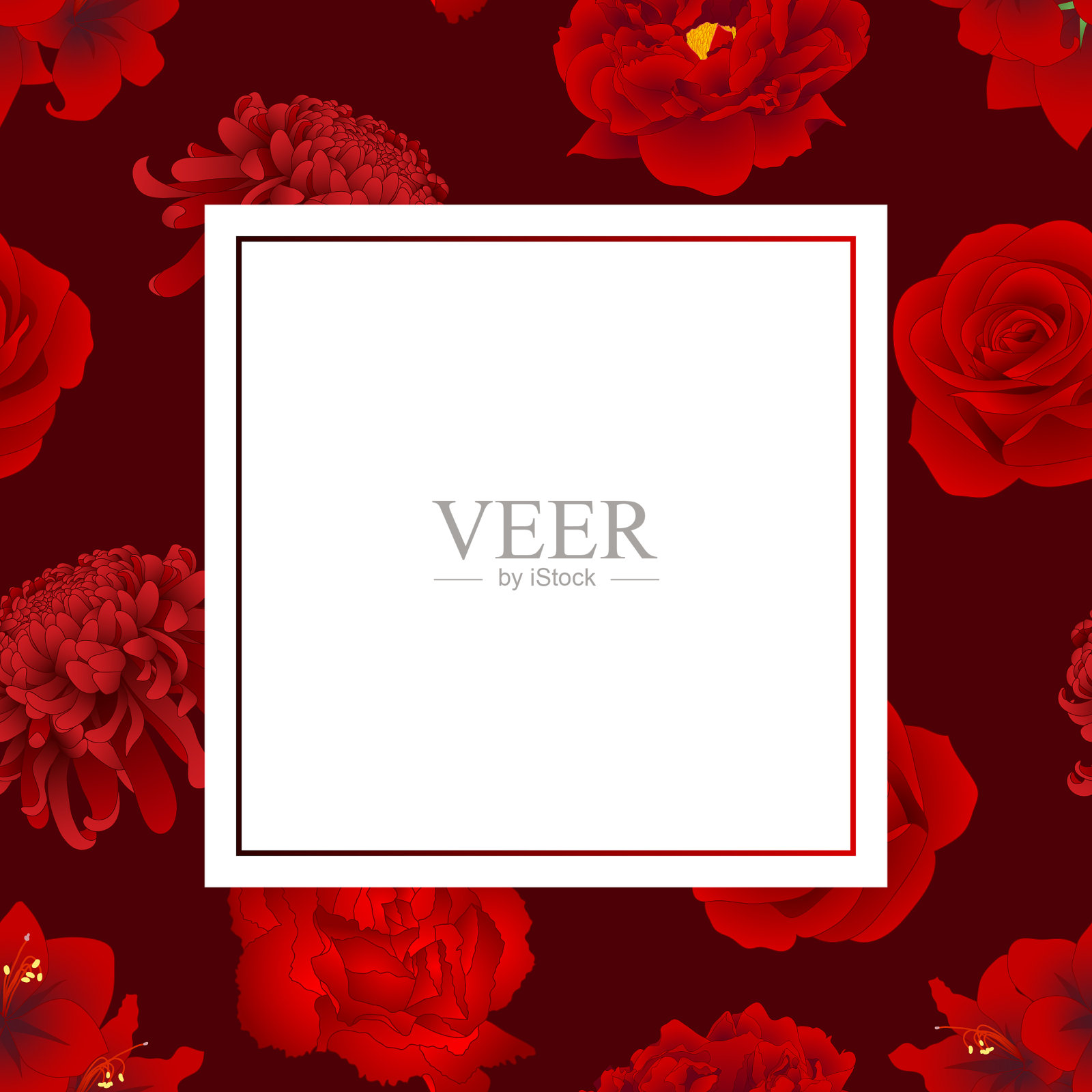 红玫瑰、菊花、康乃馨、牡丹插画图片素材