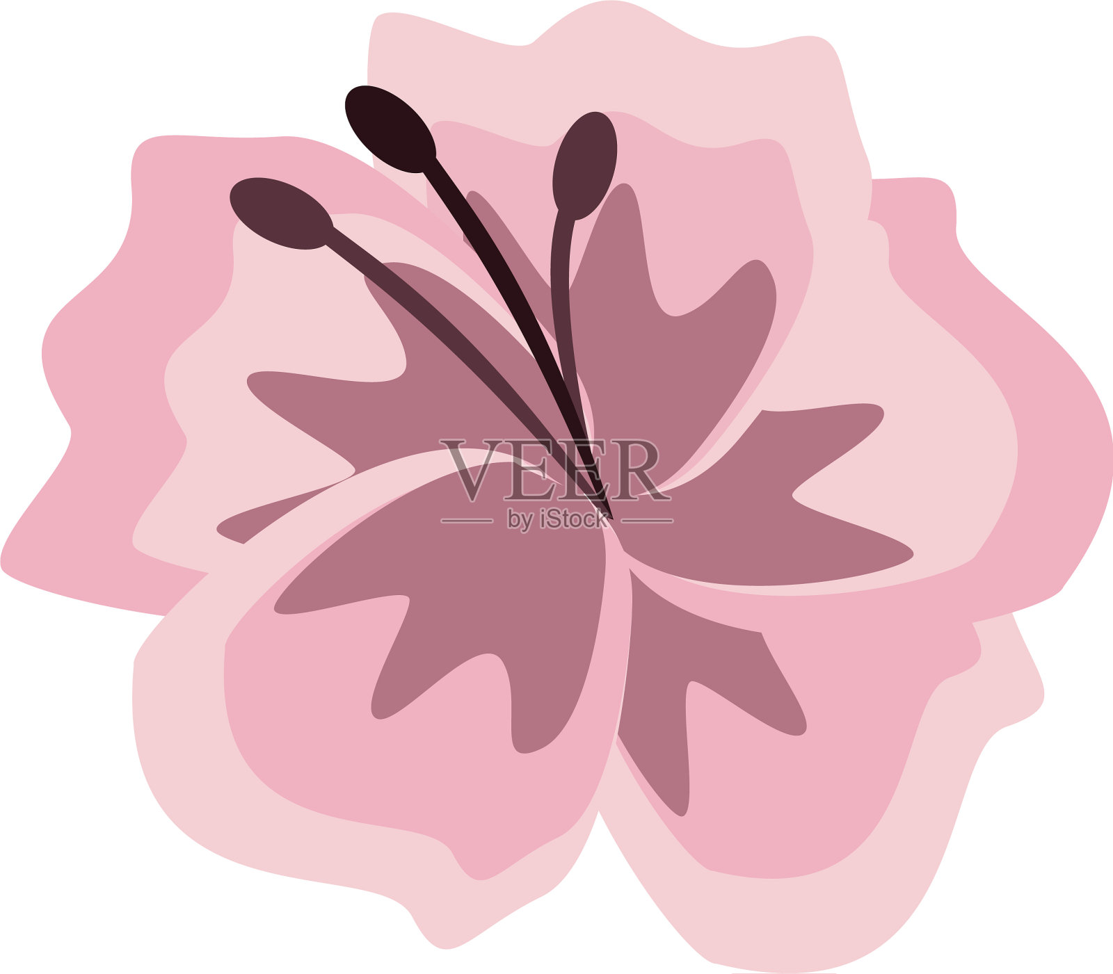 美丽的花象征插画图片素材