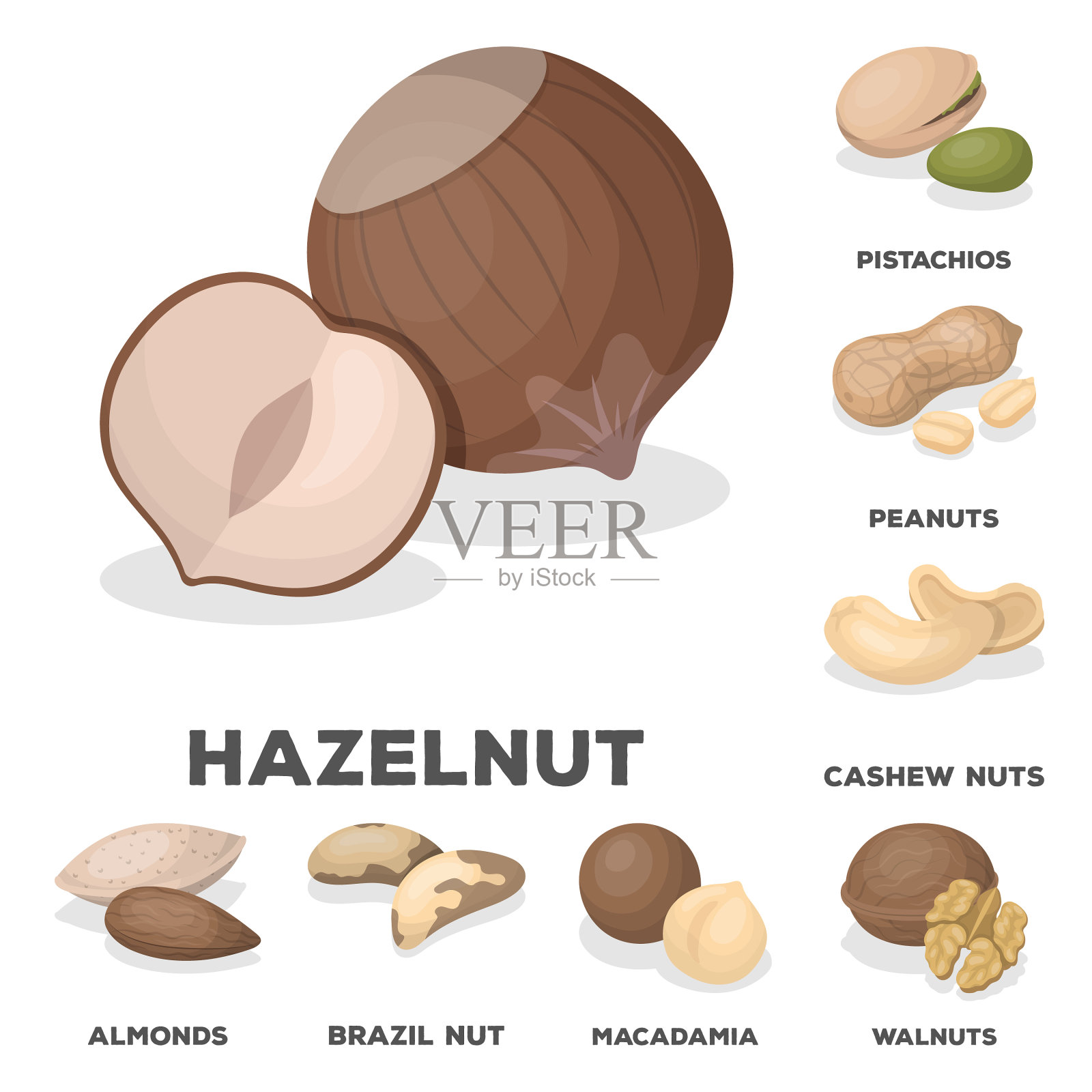 不同种类的坚果卡通图标设置图标素材