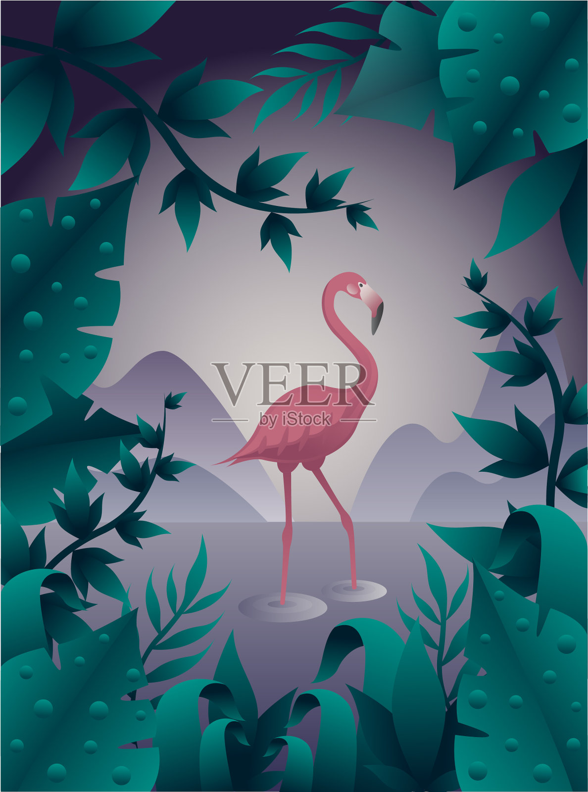 粉红色的火烈鸟在水面上插画图片素材