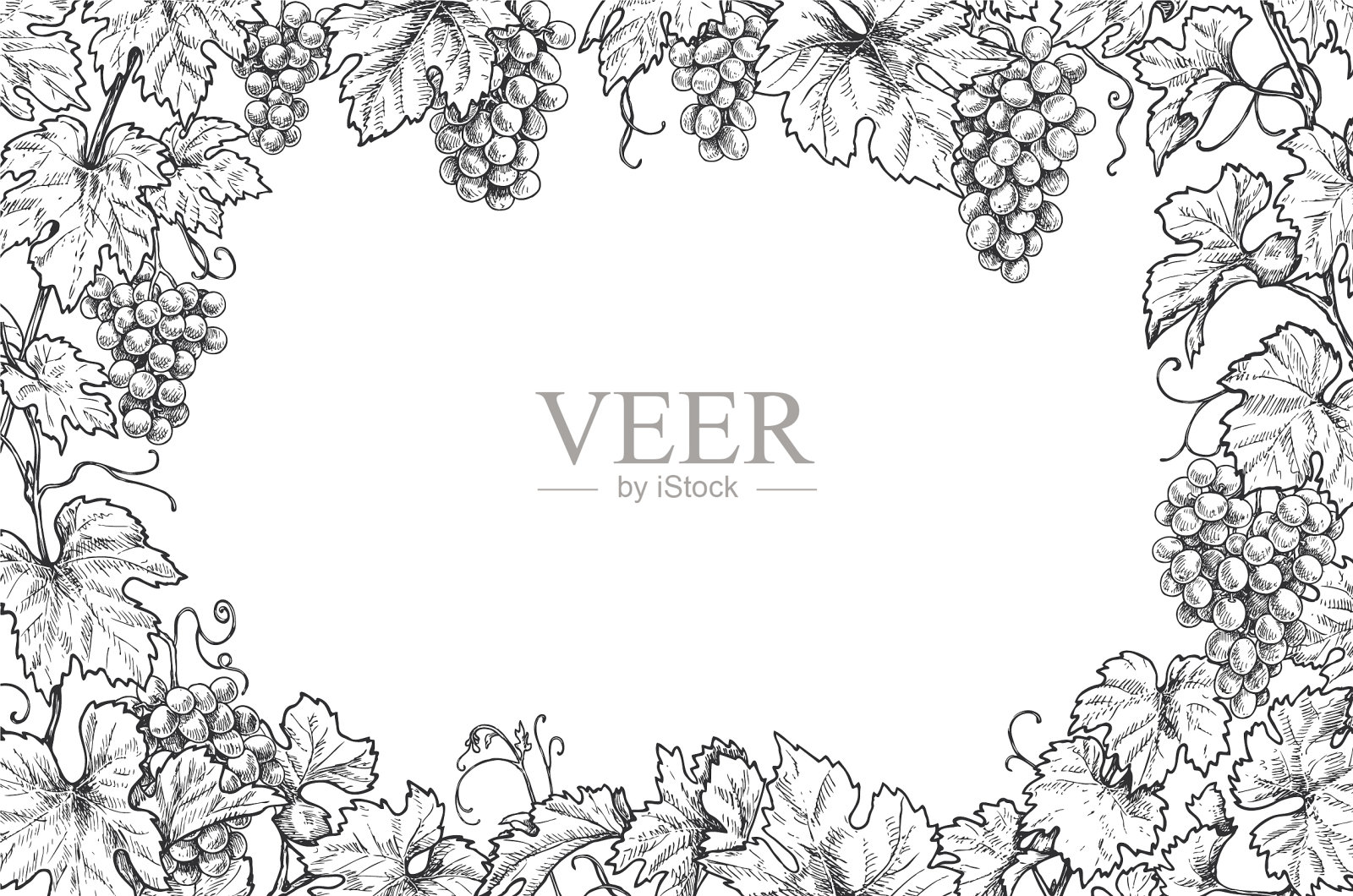 单色葡萄枝干横架插画图片素材