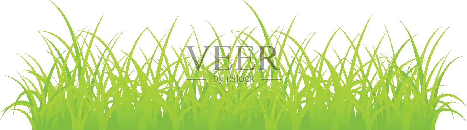 草插画图片素材