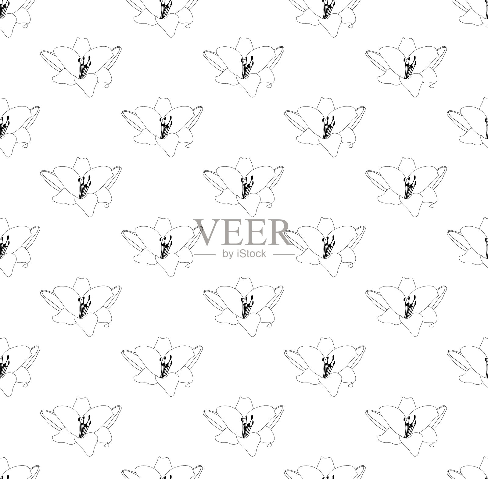 百合花无缝的白色背景插画图片素材