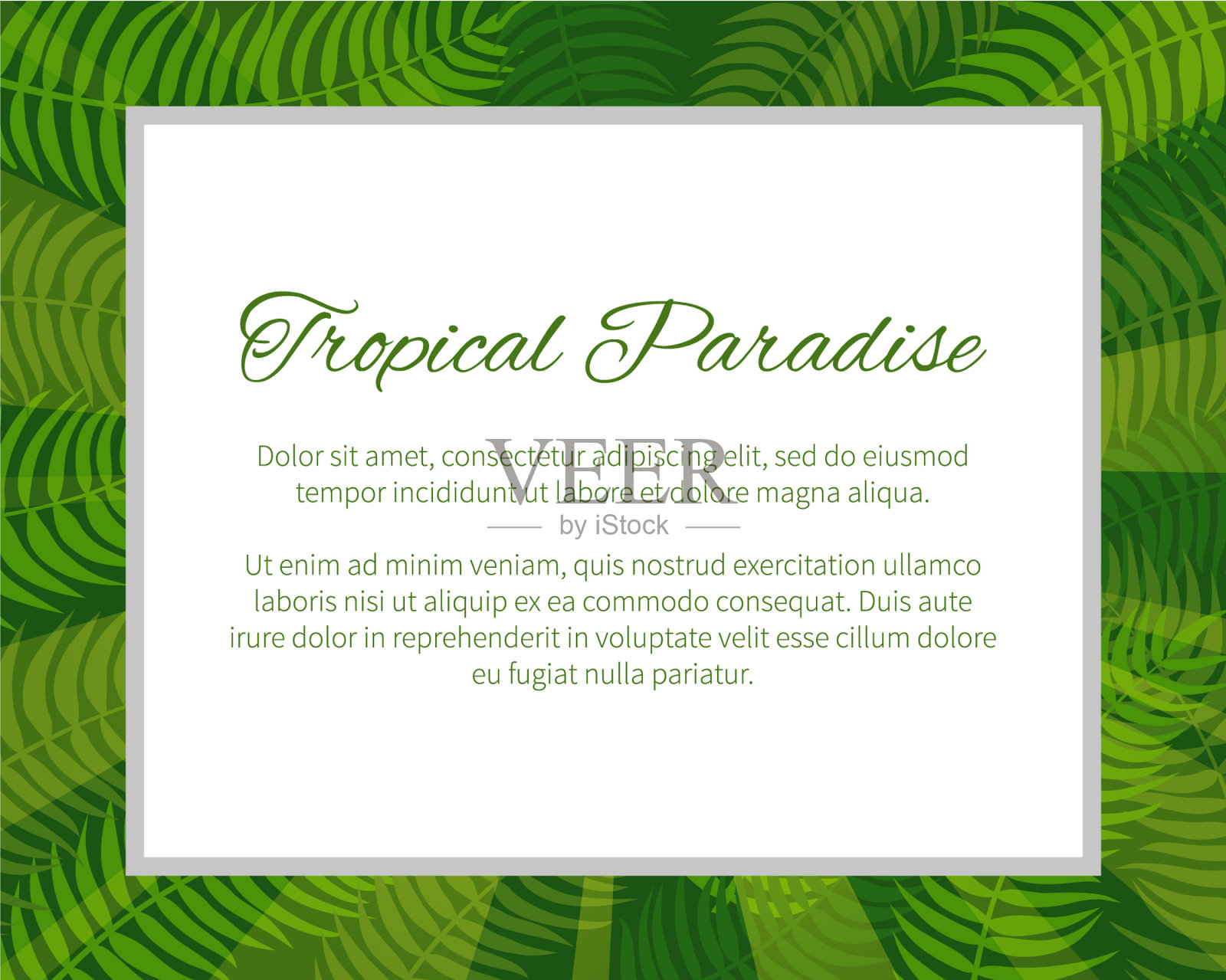 热带天堂的海报插画图片素材