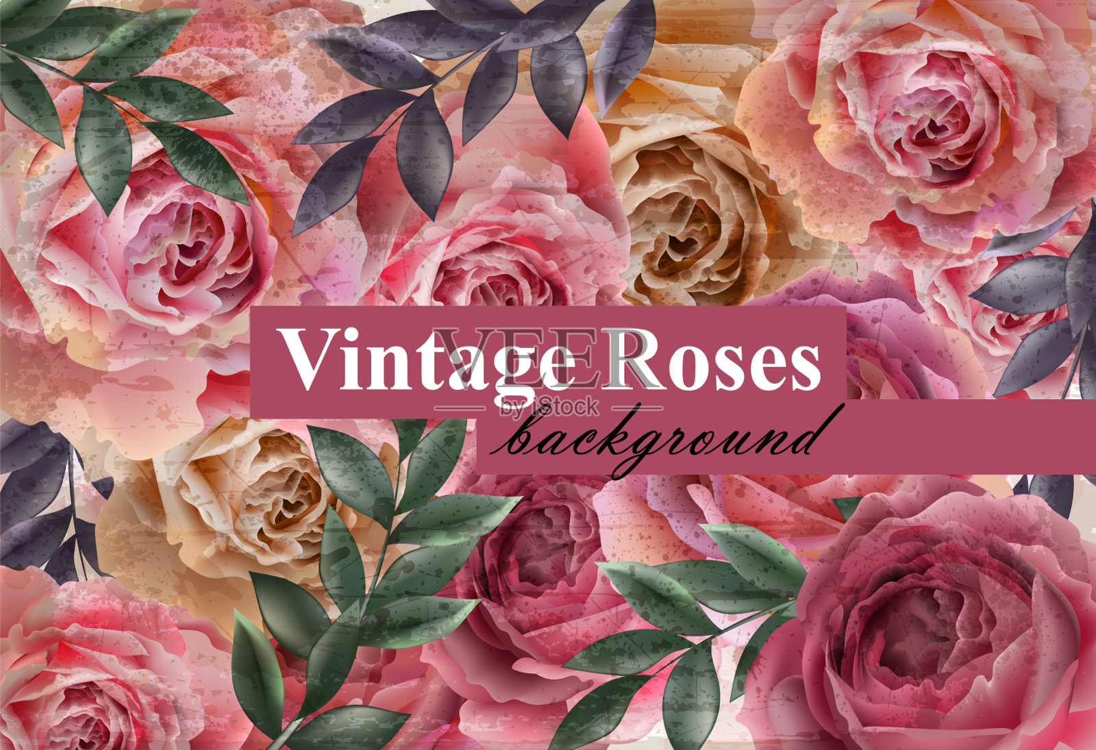 复古玫瑰背景花卡复古插画图片素材