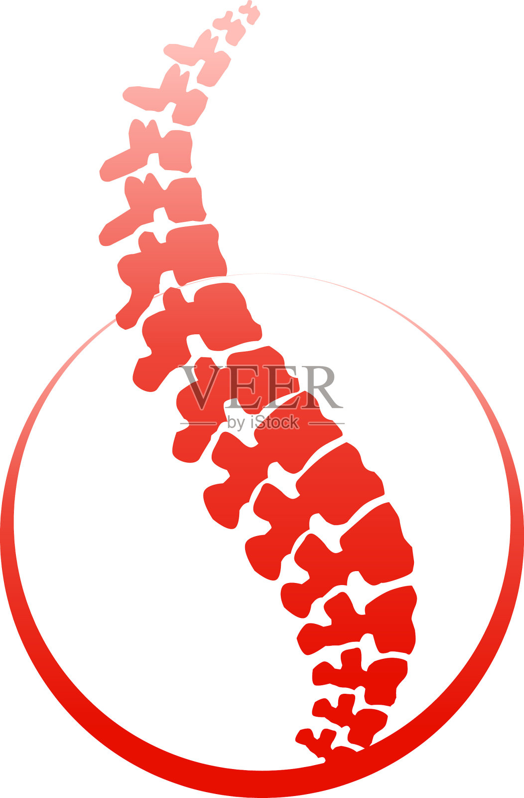 脊柱孤立的轮廓设计元素图片