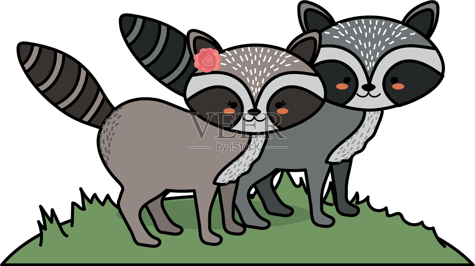 可爱的浣熊动物情侣在一起设计元素图片