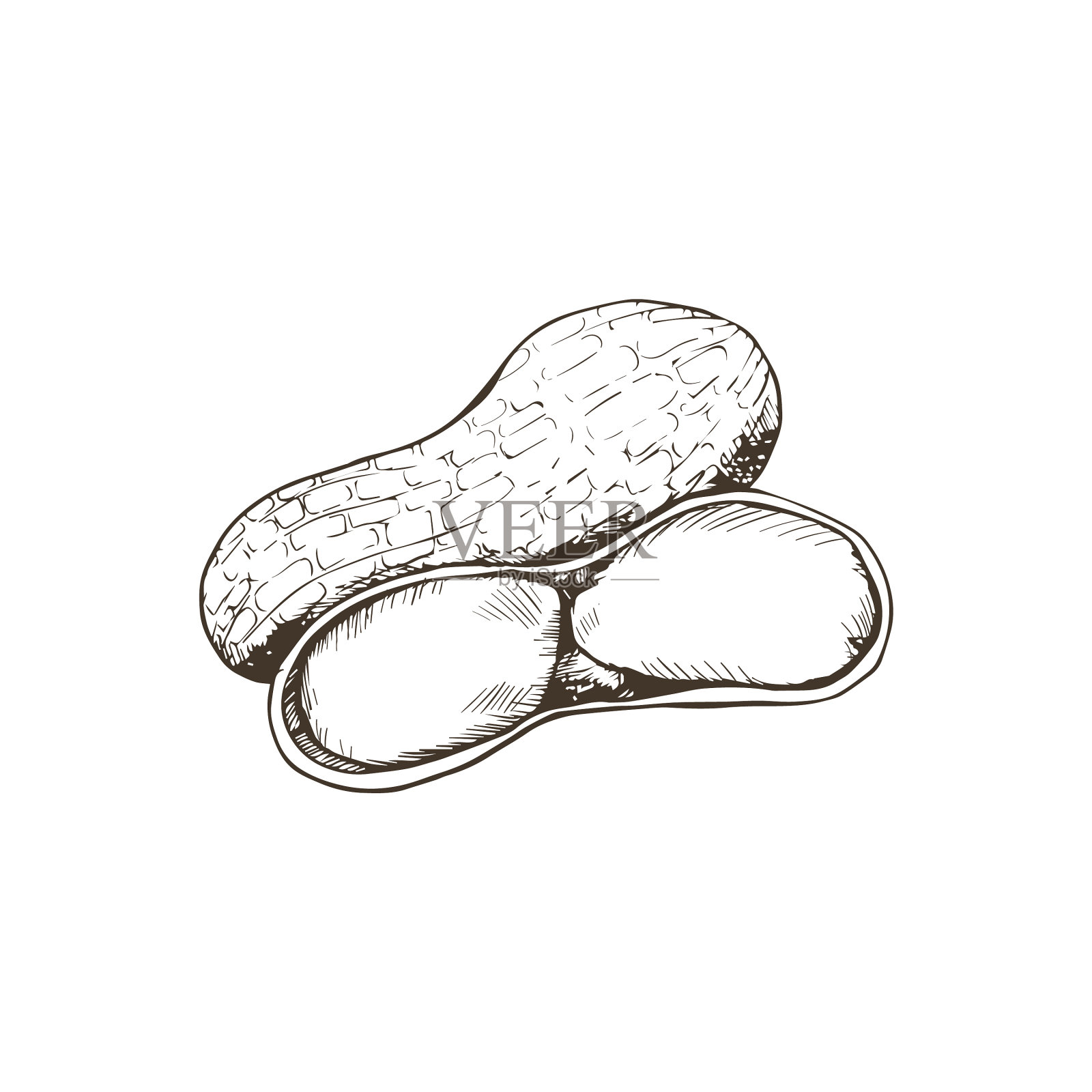 孤立的螺母设计元素图片