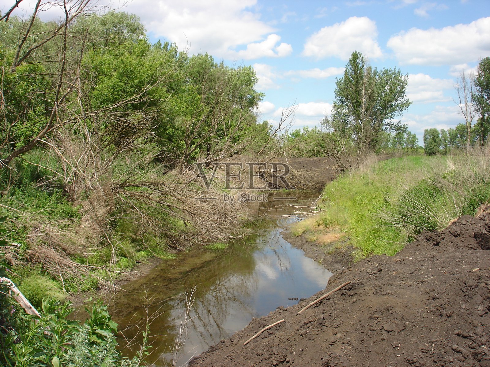 从倒下的树中清理杂草丛生的溪流。照片摄影图片