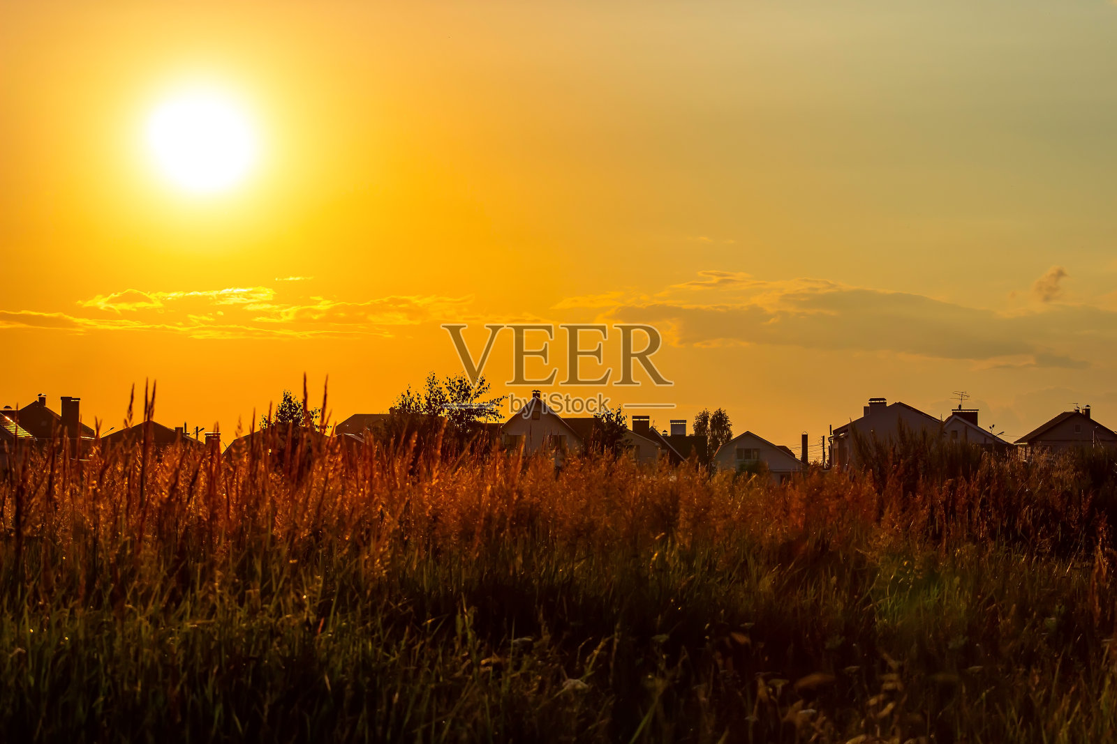 傍晚日落草地上。夏天的风景。照片摄影图片