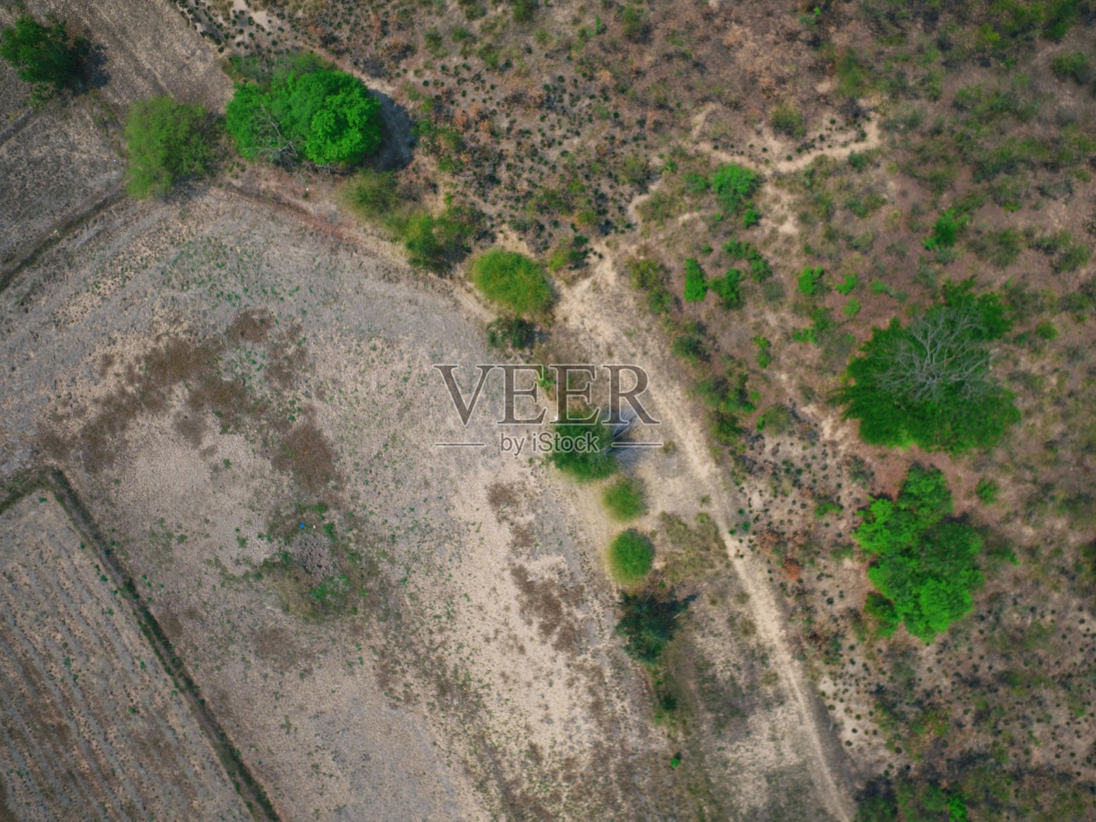 无人机无人机摄影俯视图农村农场泰国森林树照片摄影图片