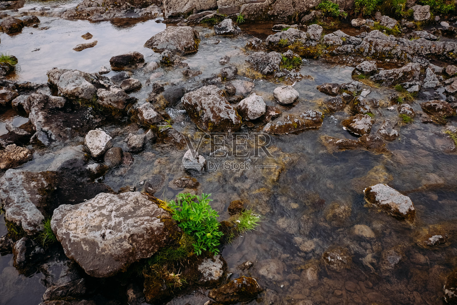 在冰岛的夏天，绿色的草生长在一条快速而寒冷的山涧的石头上照片摄影图片