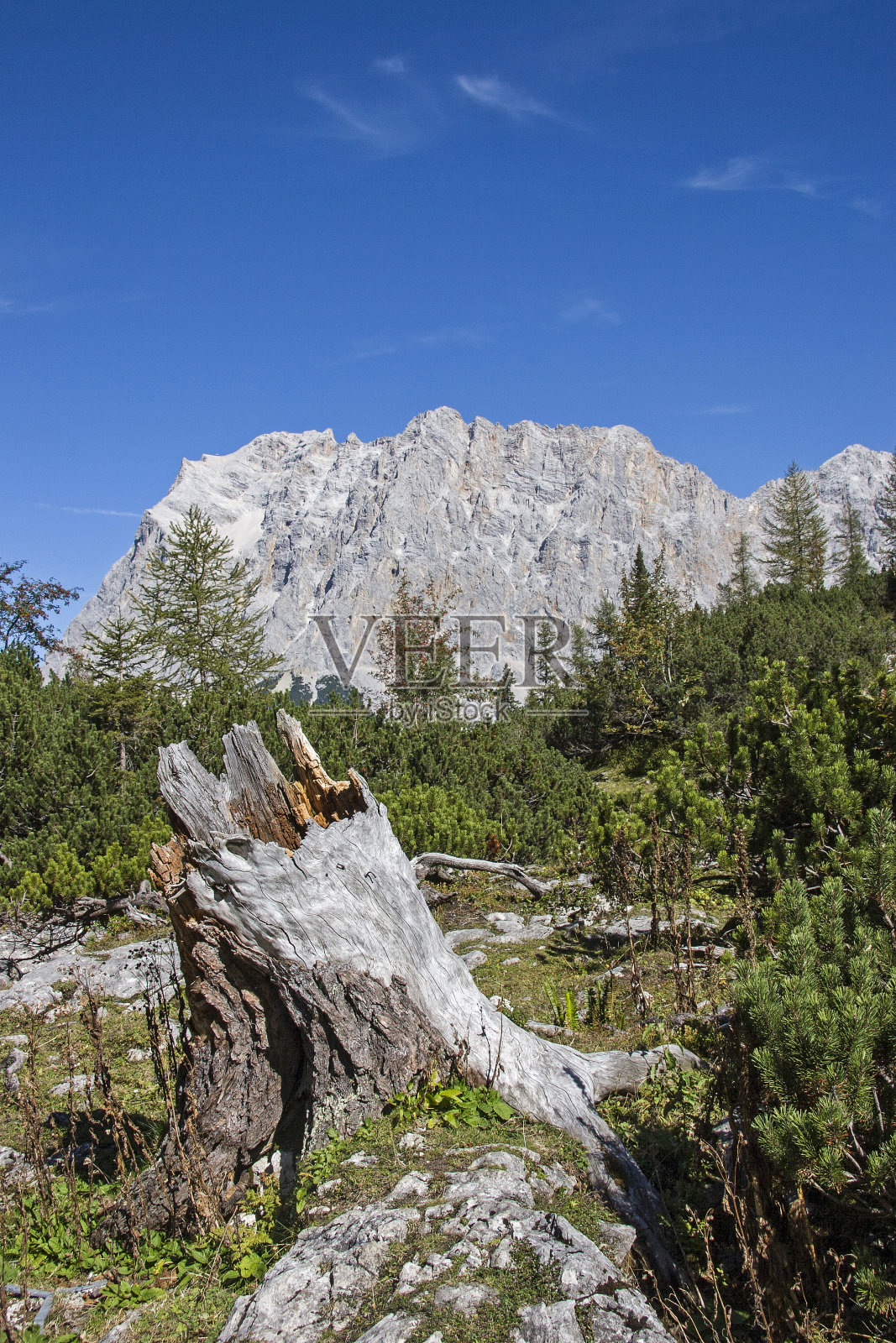 祖格斯匹兹山脉的巨大山丘照片摄影图片