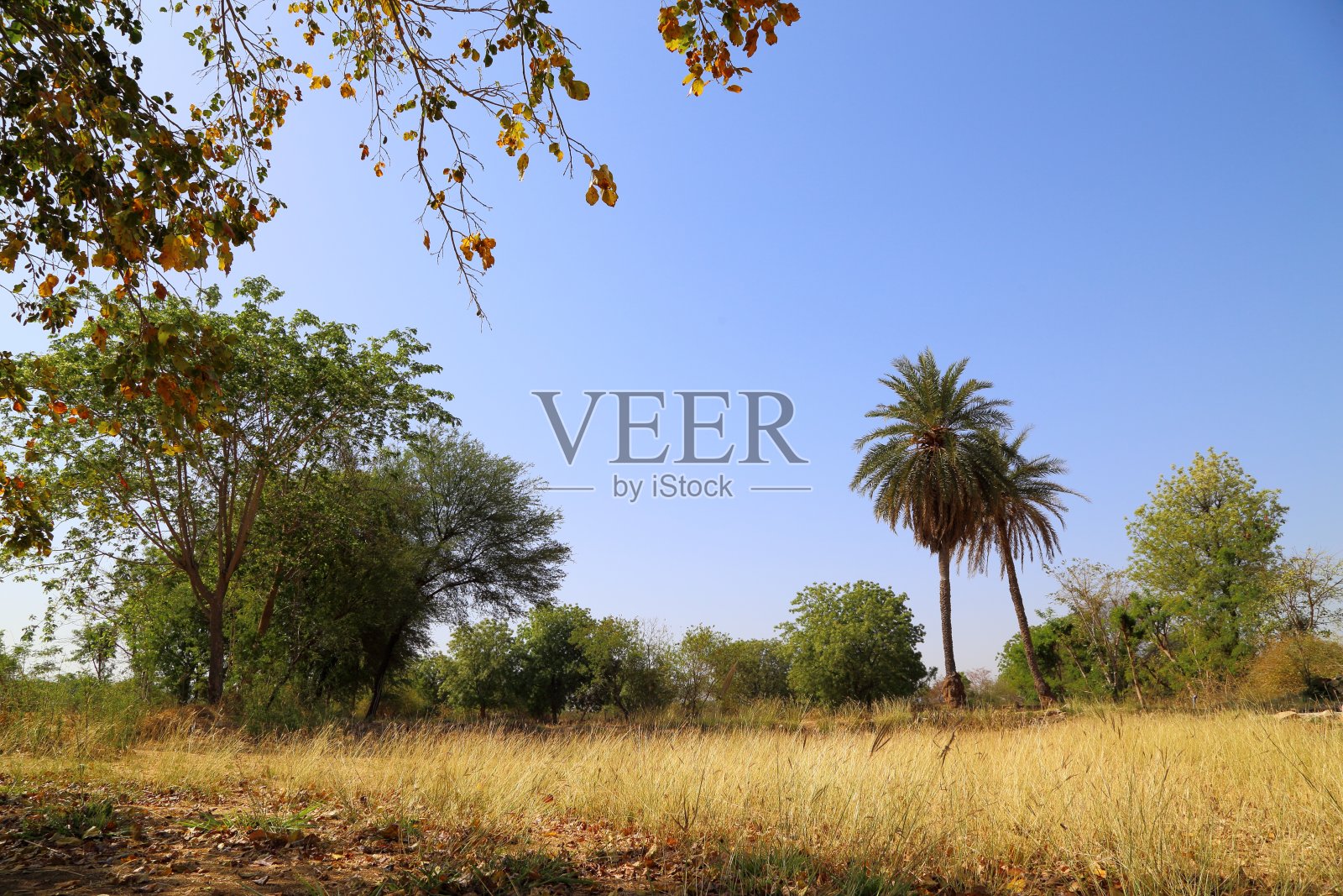 风景风景照片摄影图片