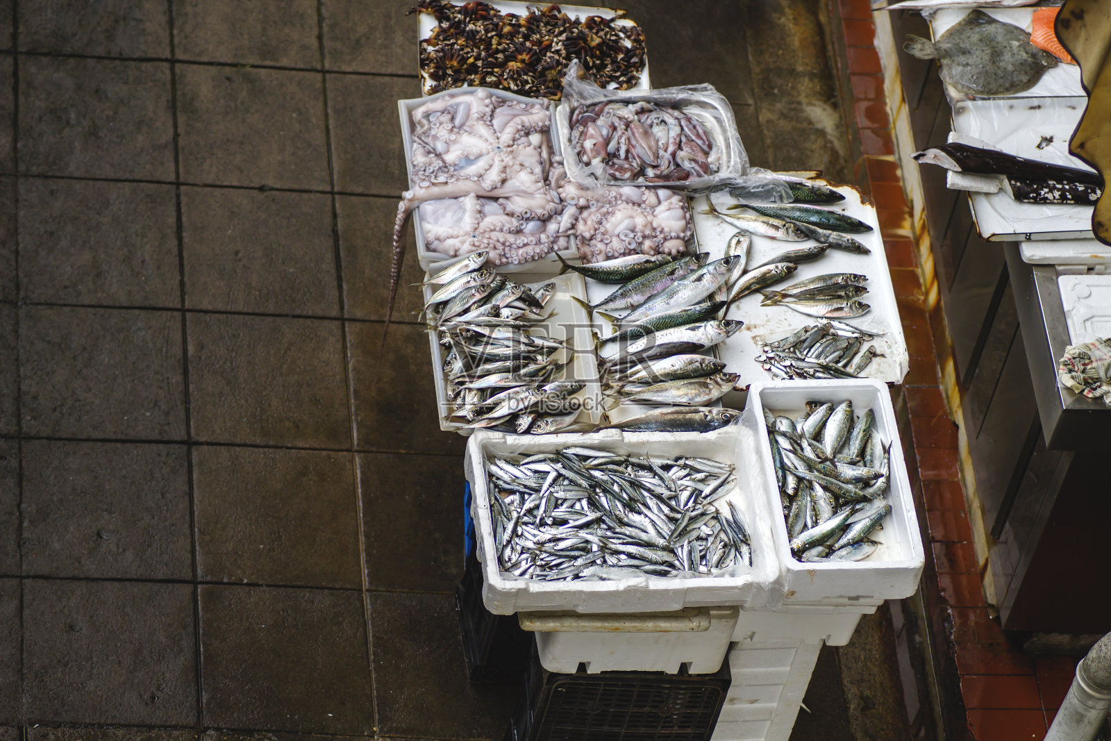 海鲜摊位照片摄影图片