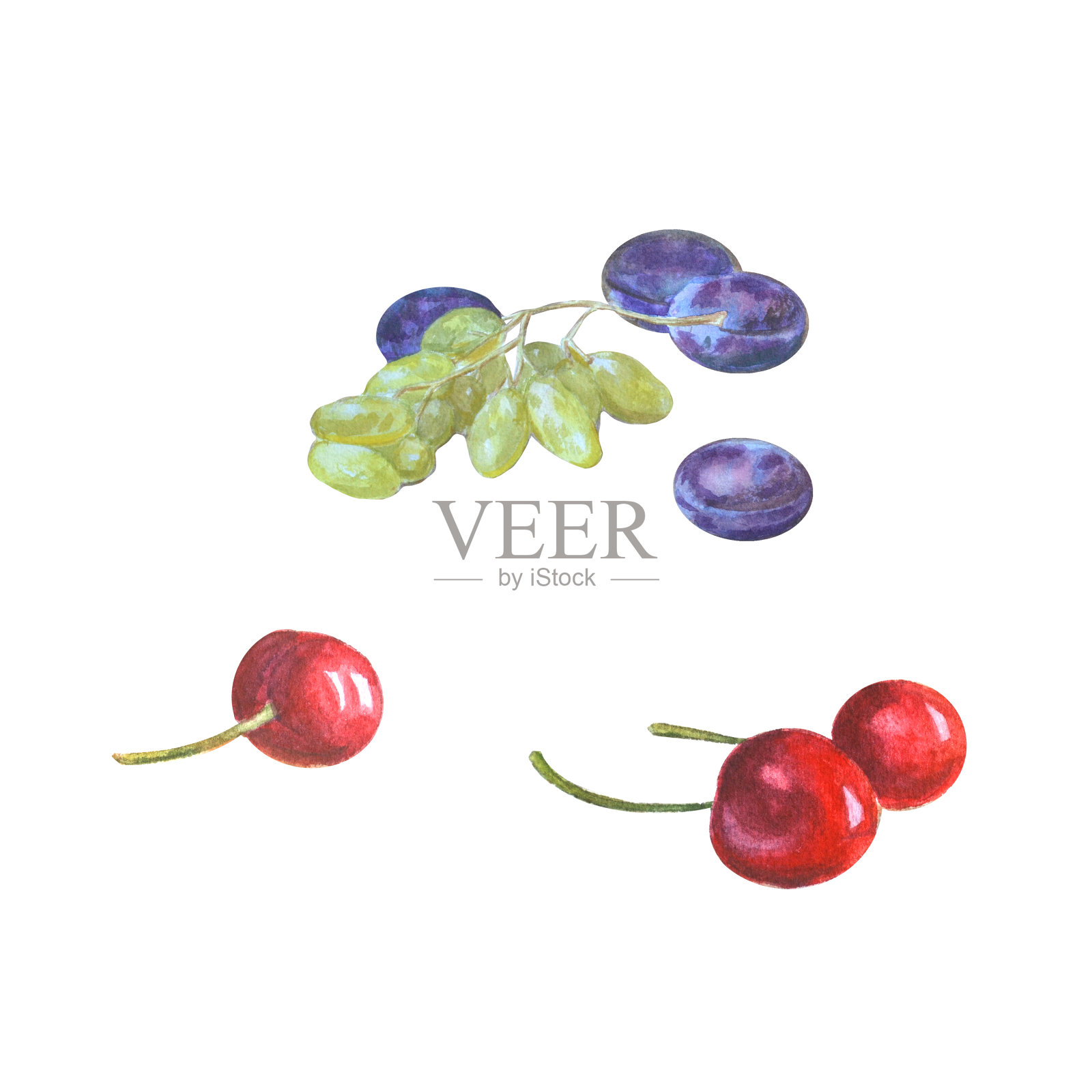 水彩绿葡萄和青梅孤立在白色的背景。樱桃。插画图片素材