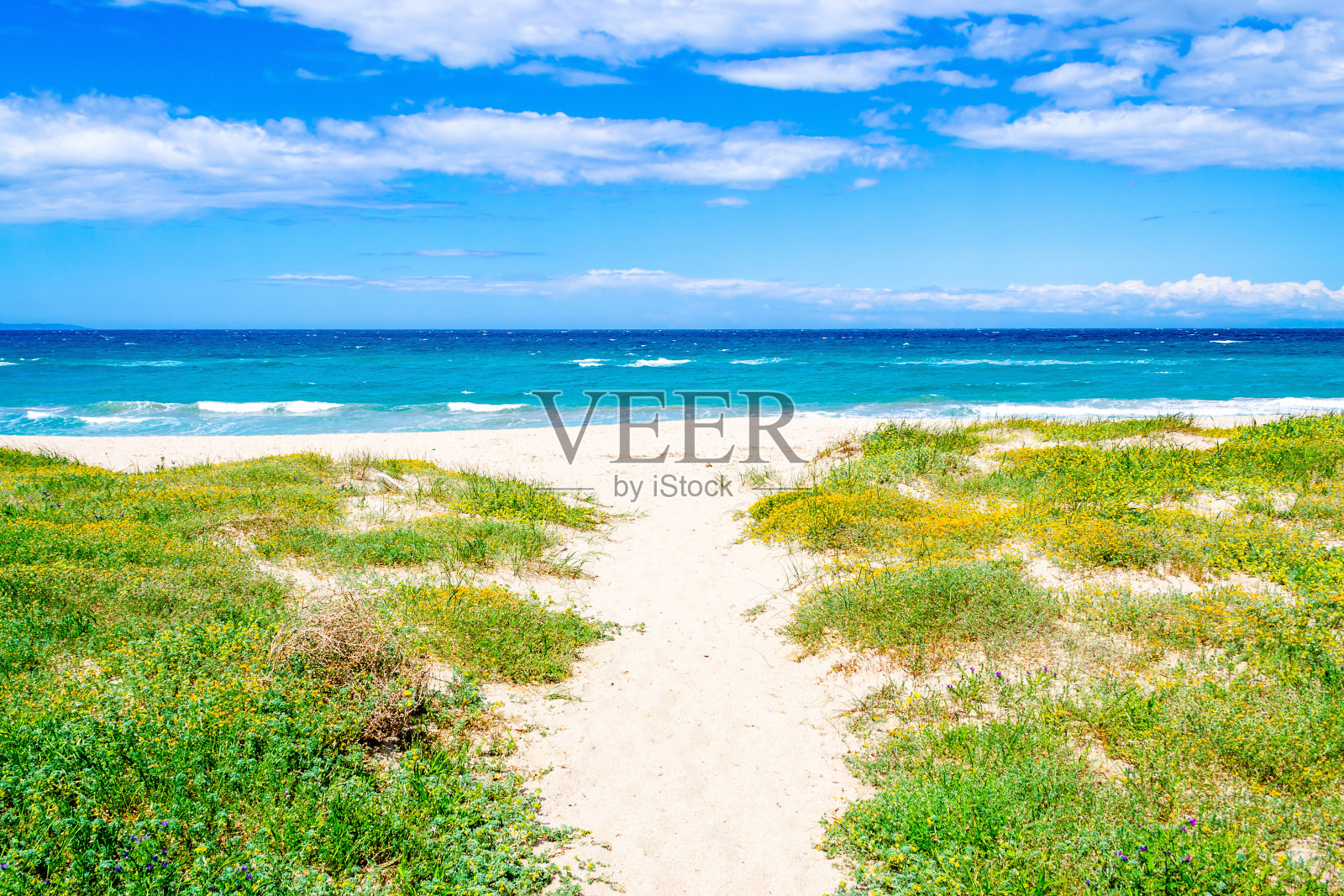 普拉塔莫纳海滩上的绿色植物和白色沙滩照片摄影图片