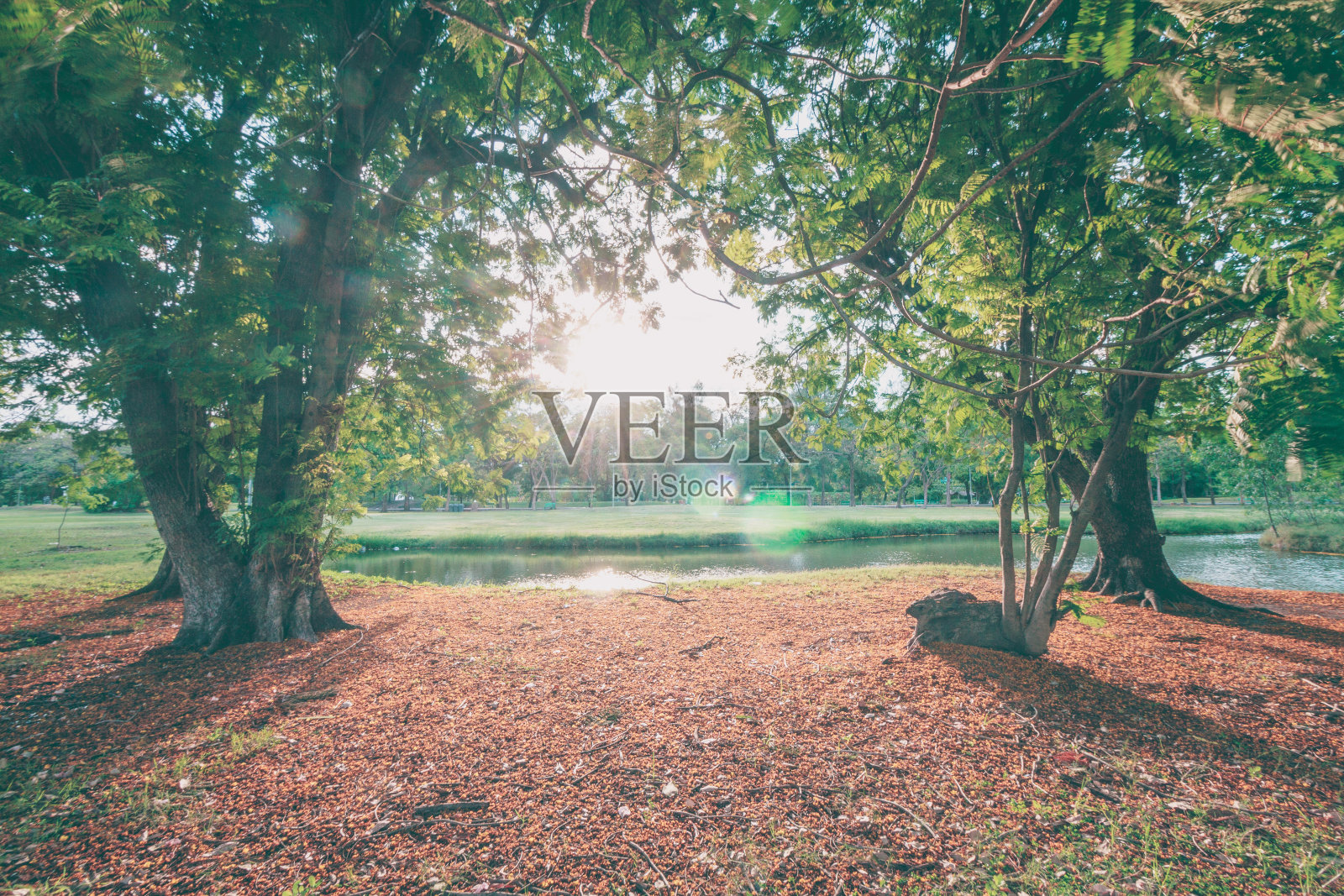 令人惊叹的完美的景观，自然的山和苏塞特照片摄影图片