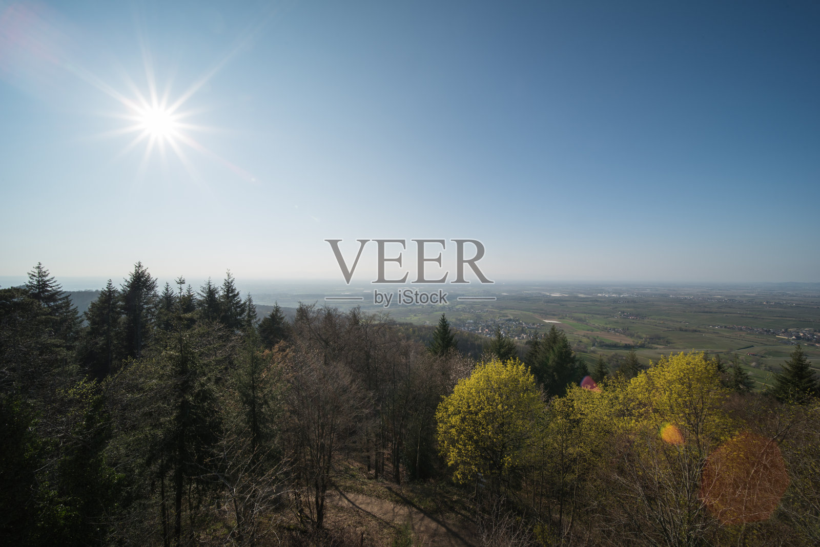 风景园林照片摄影图片