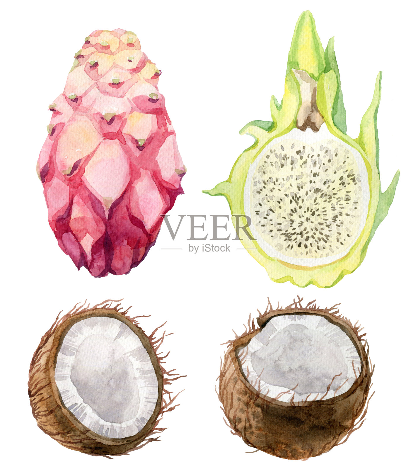 水彩套热带水果和异国情调的水果。插画图片素材