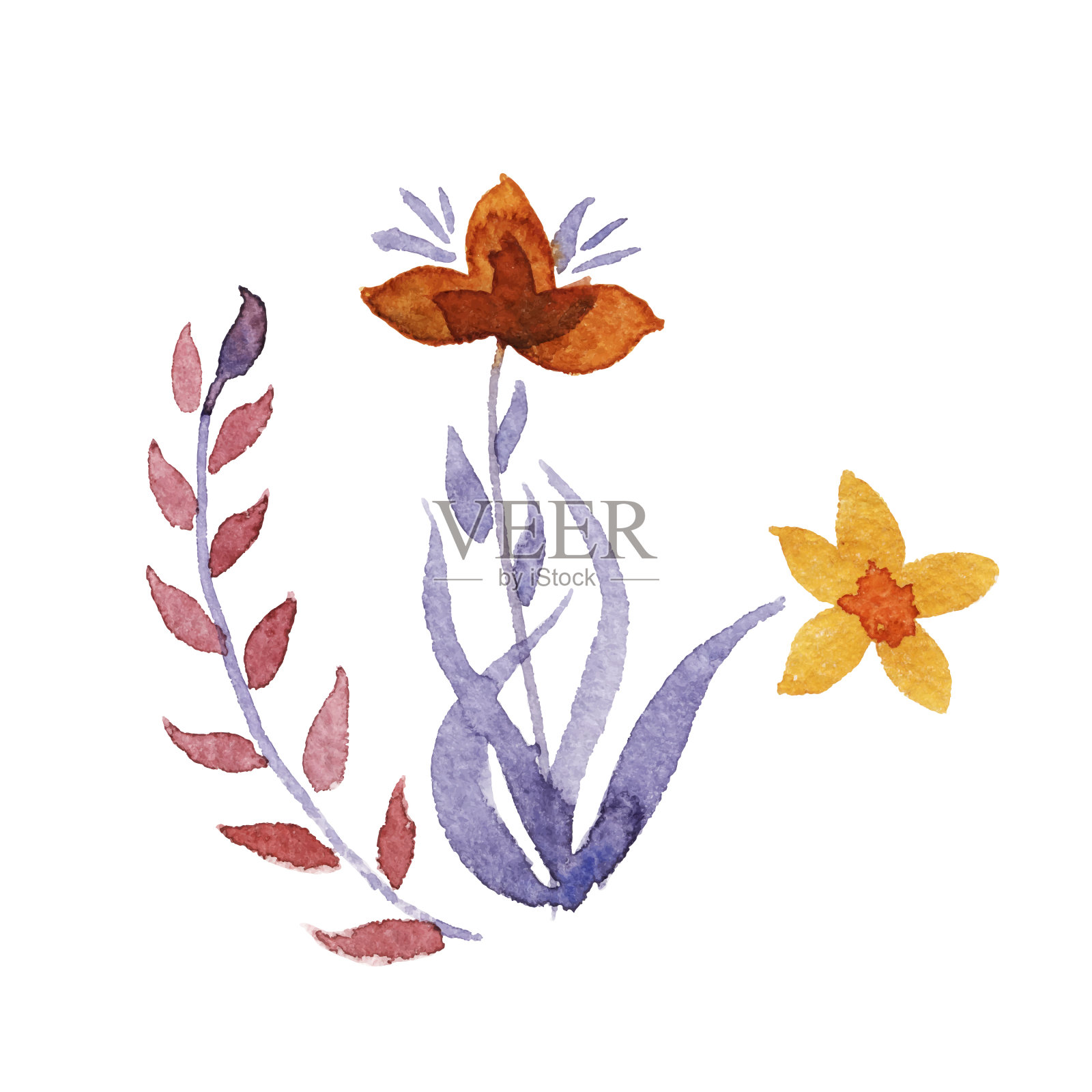 水彩花卉组设计元素图片