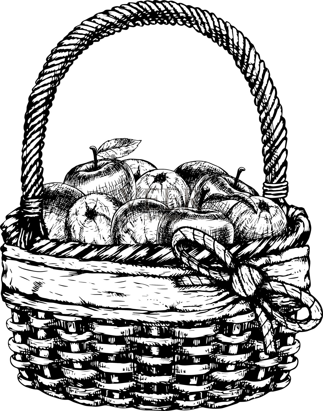 手绘的篮子和苹果素描插画图片素材