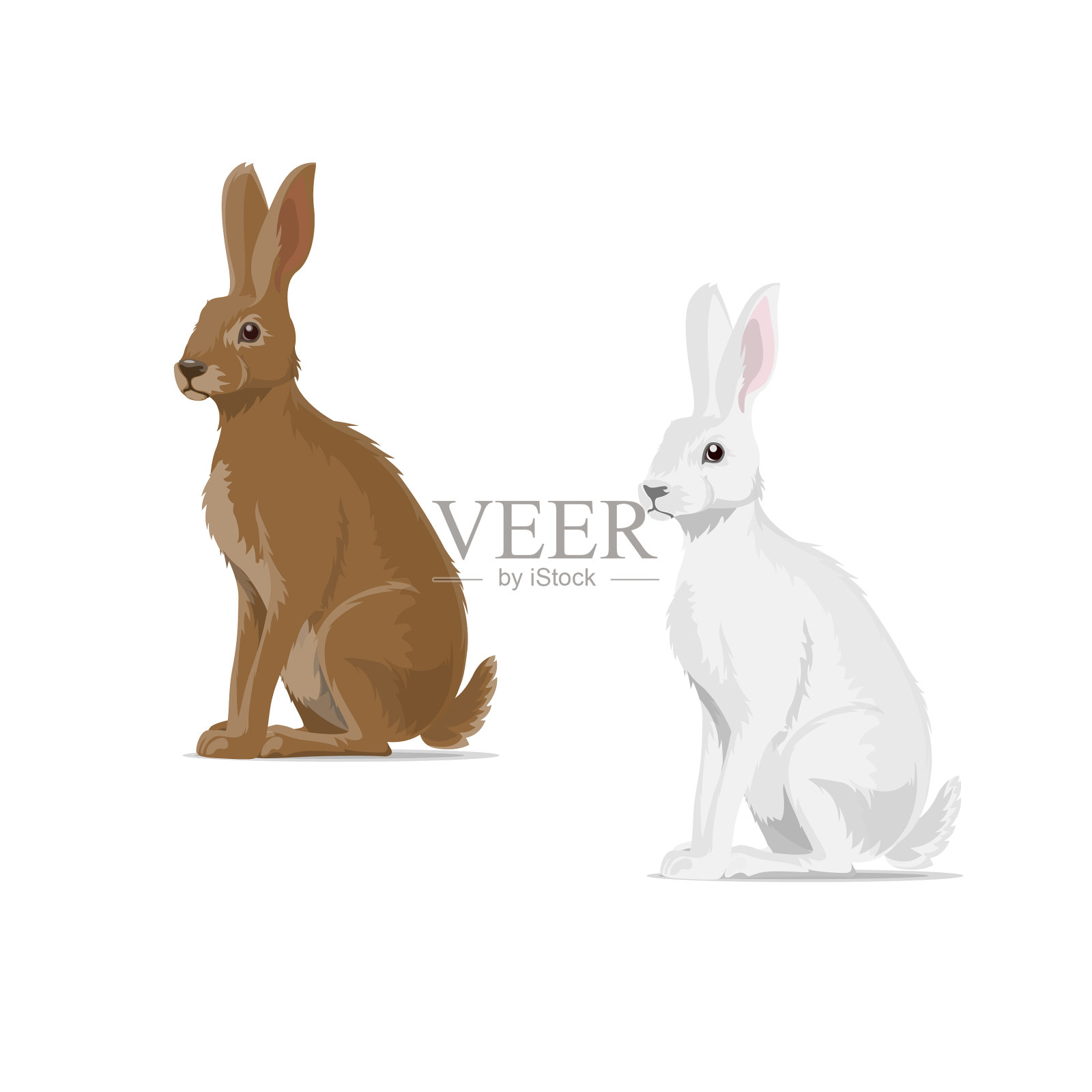 兔兔动物扁图标设计元素图片