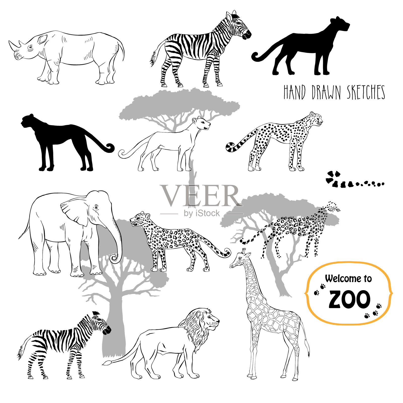 动物园动物素描背景插画图片素材