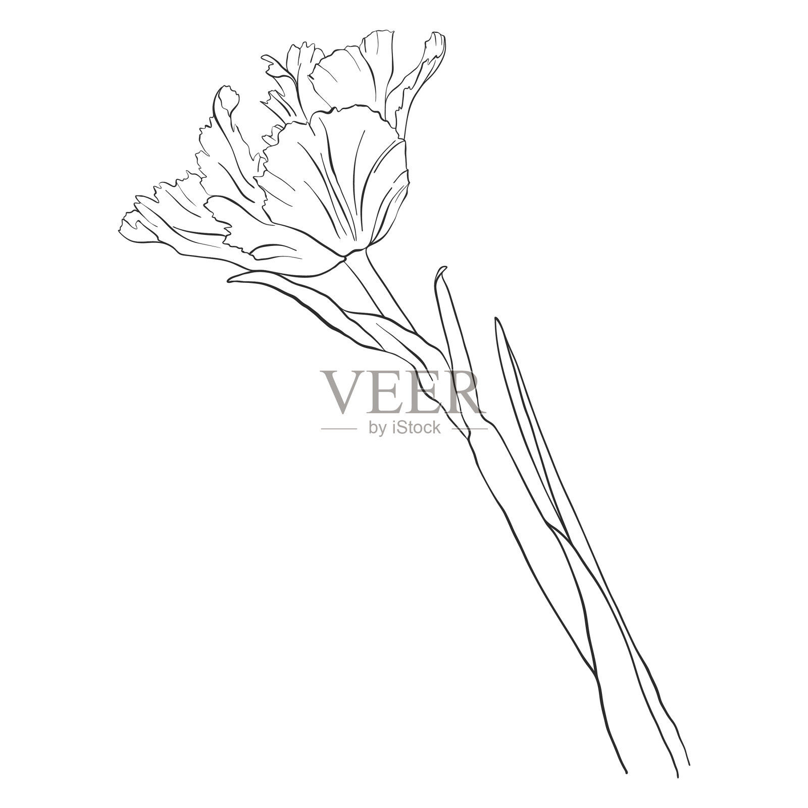 画花设计元素图片