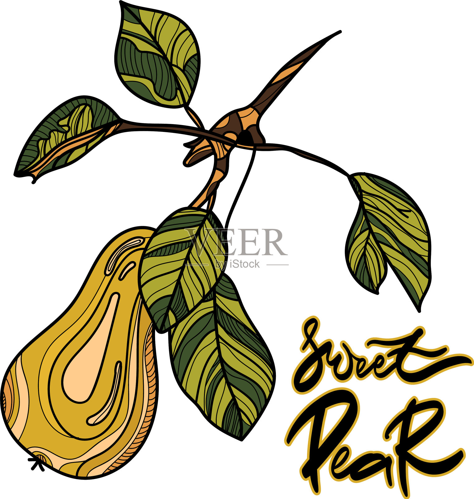 梨插画图片素材