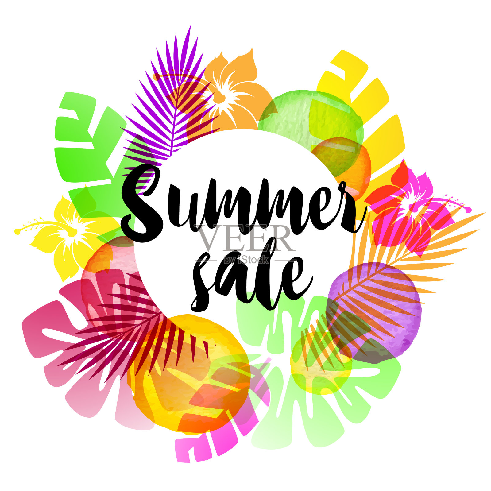 夏季热带背景设计元素图片