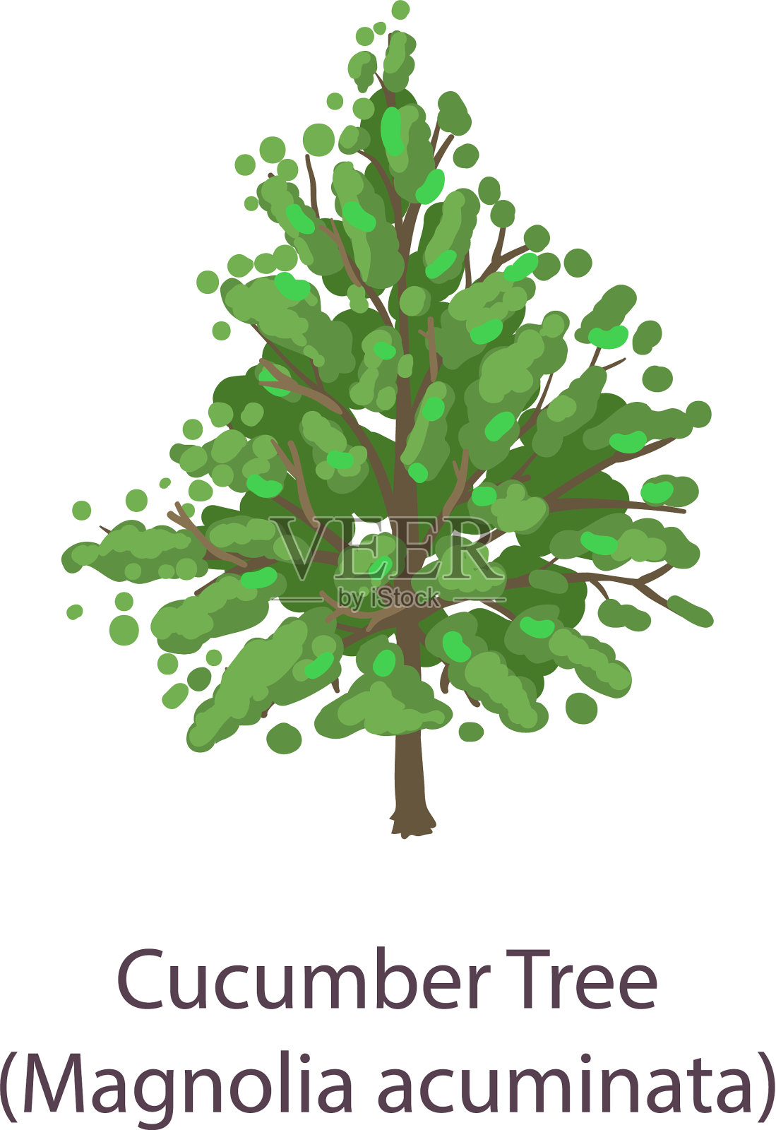 黄瓜树图标扁平化风格插画图片素材