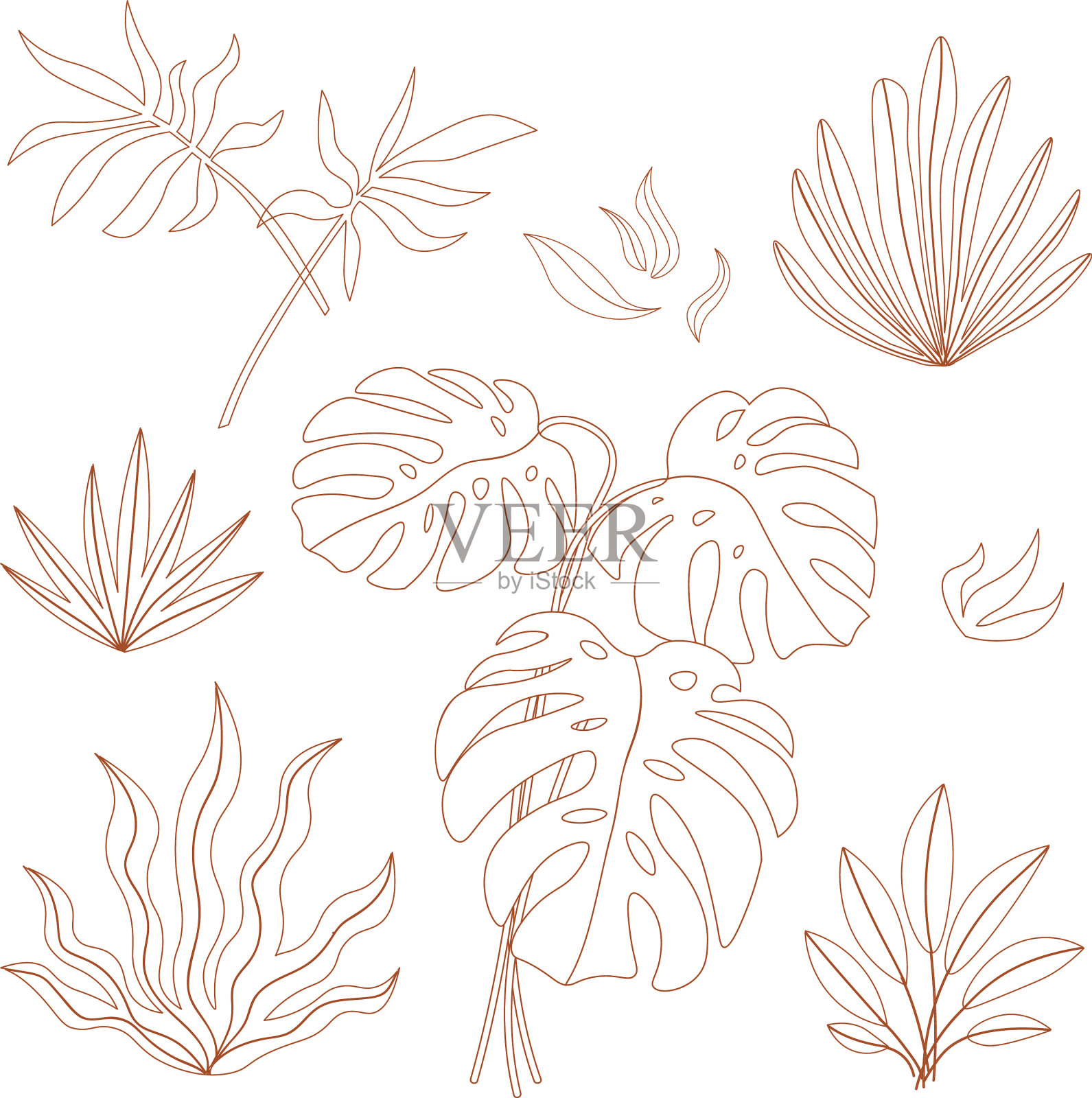 现代时髦的植物和叶在线条风格插画图片素材