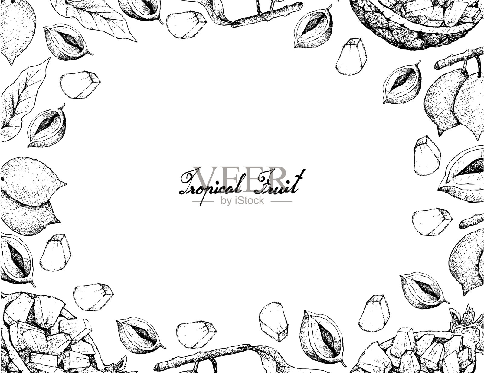 手绘菠萝和阿比水果架插画图片素材