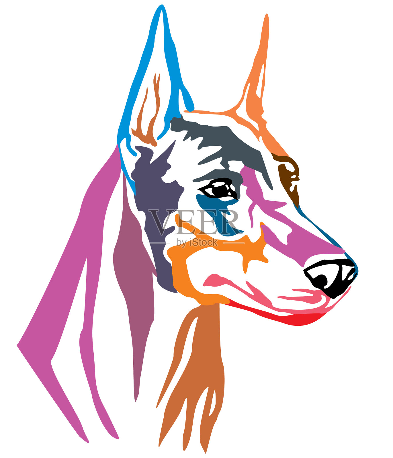 彩色装饰的杜宾犬肖像设计元素图片