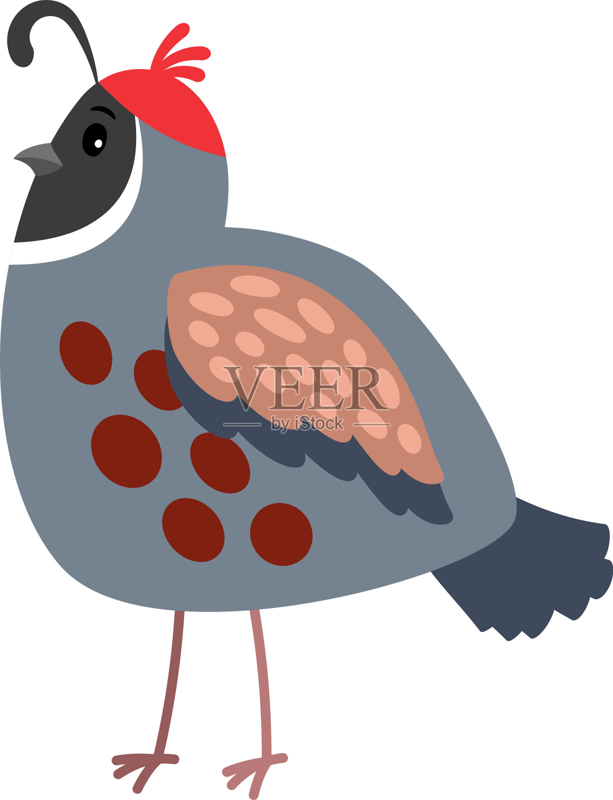 鹌鹑卡通鸟图标设计元素图片