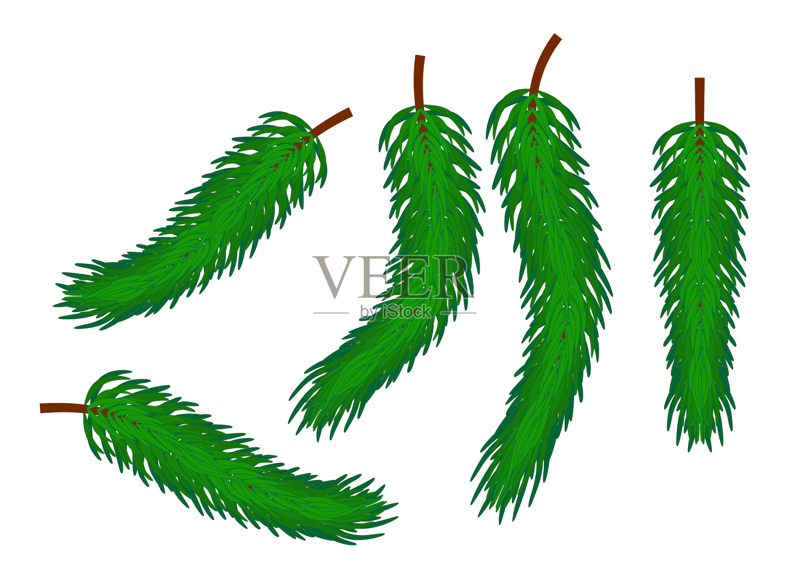 圣诞杉木枝卡通设计为卡片图标插画图片素材