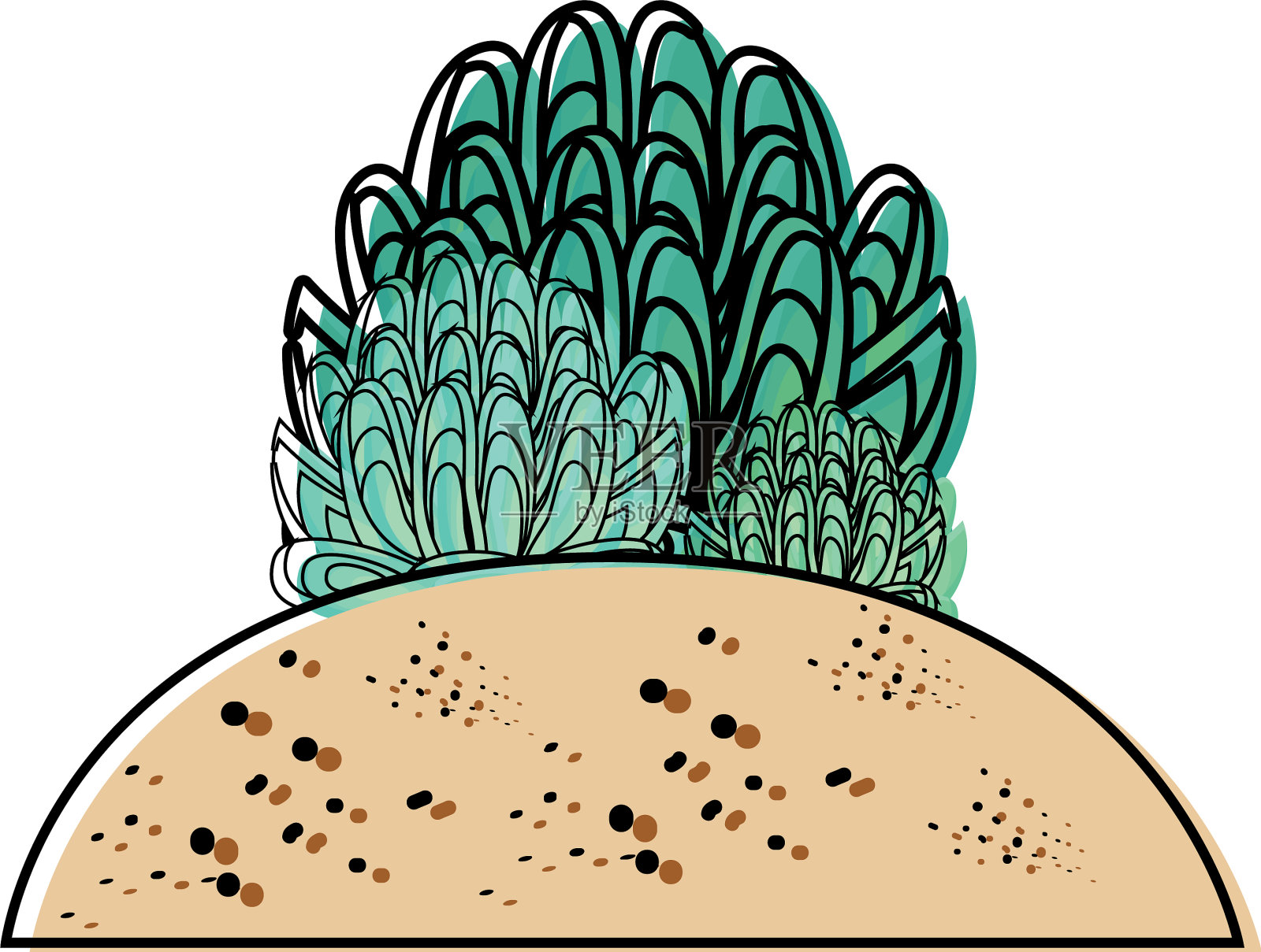 肉质植物图标插画图片素材
