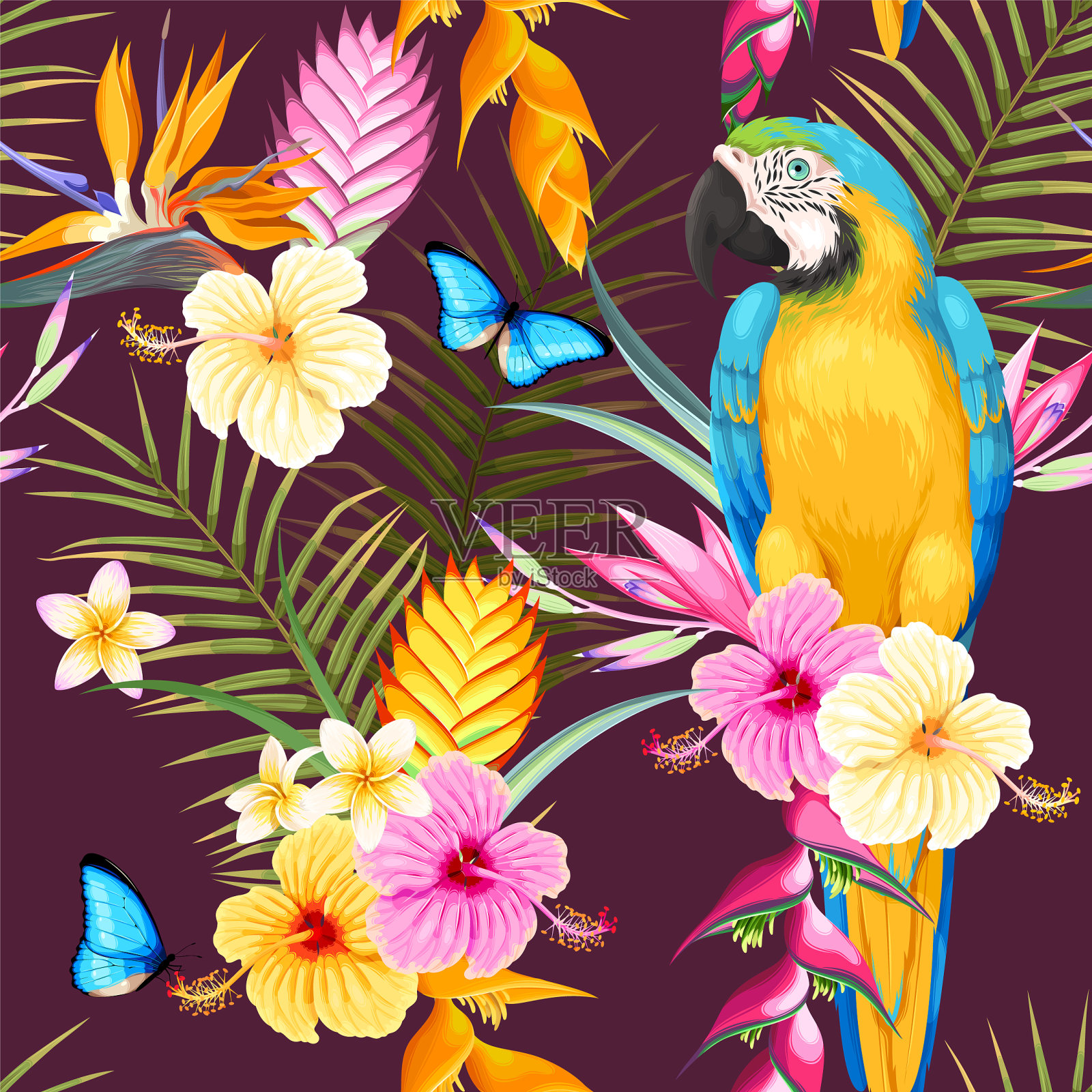 金刚鹦鹉和花无缝衔接插画图片素材