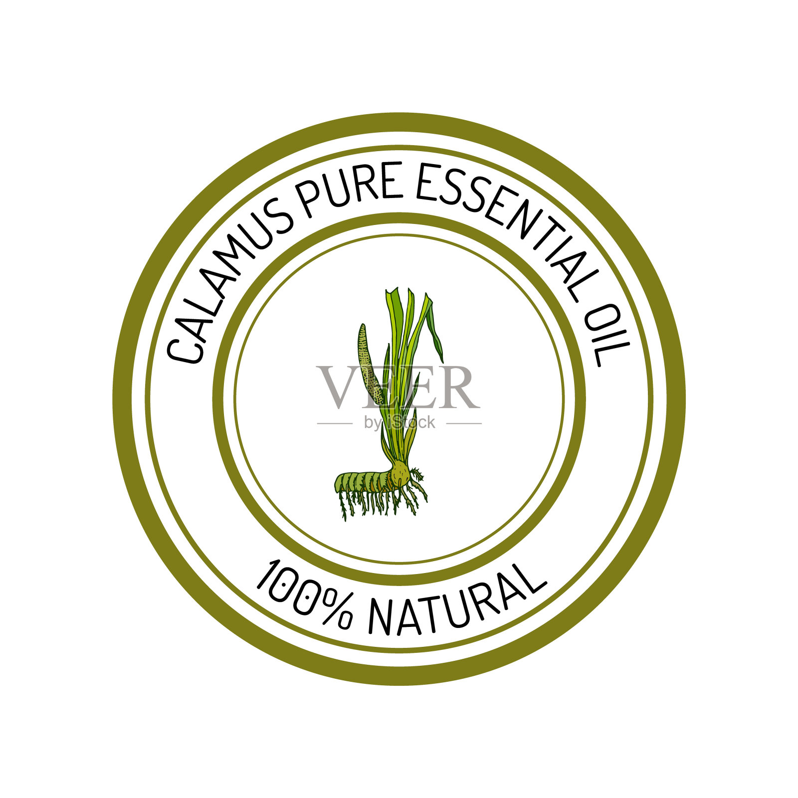 菖蒲精油是一种芳香植物设计元素图片