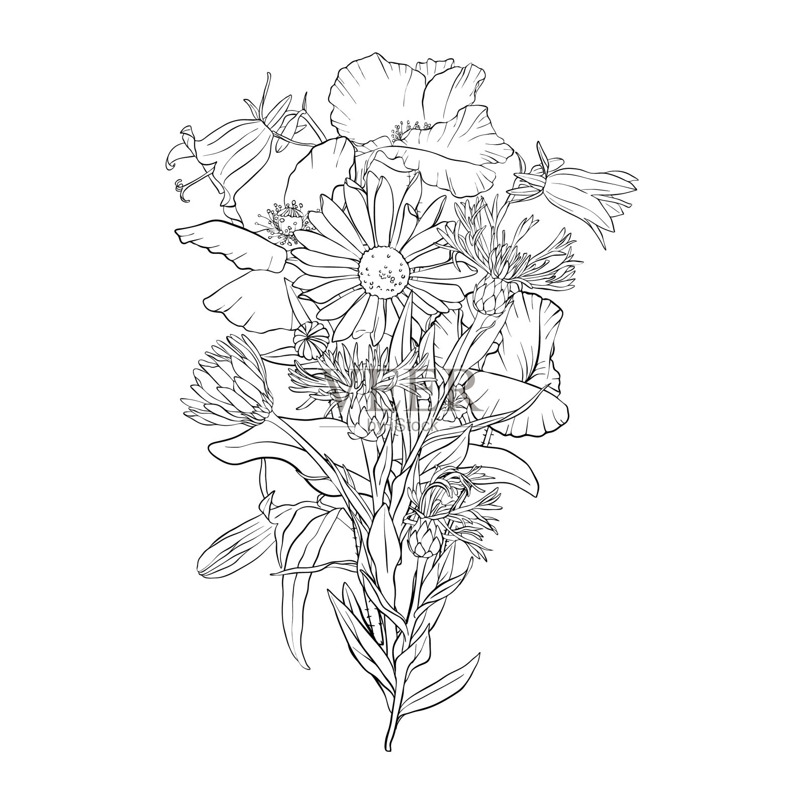 用花绘制背景设计元素图片