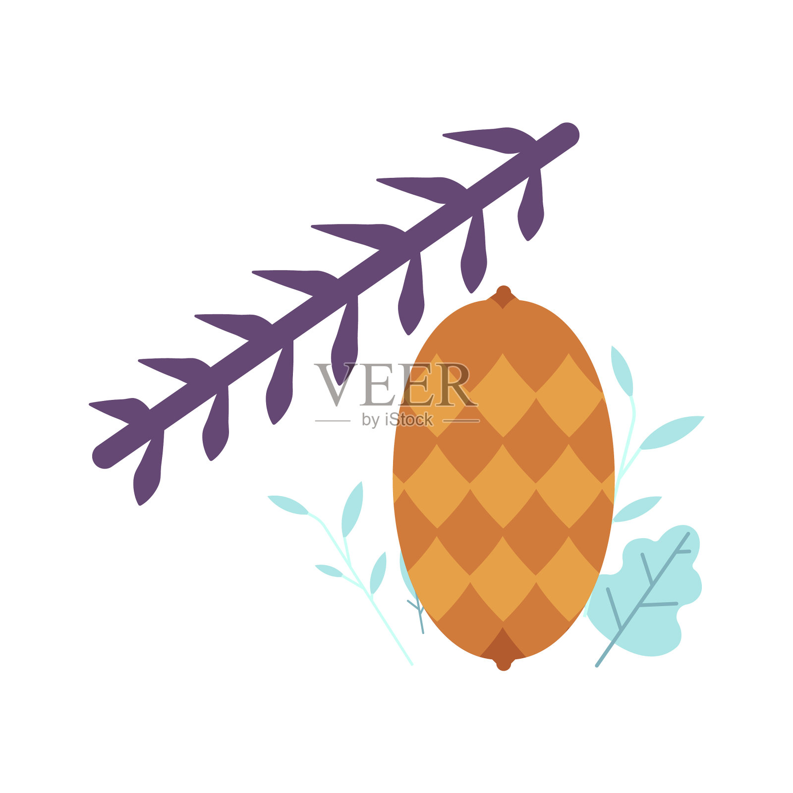 在云杉松树或冷杉树枝上的松果设计元素图片