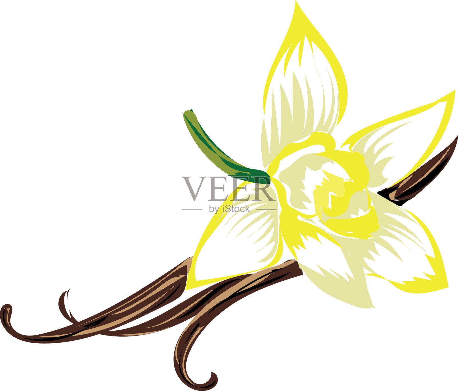 香兰素设计元素图片